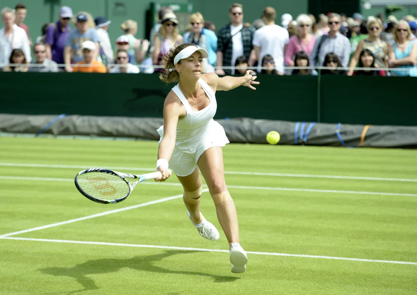 7925447-petra-cetkovska.jpg