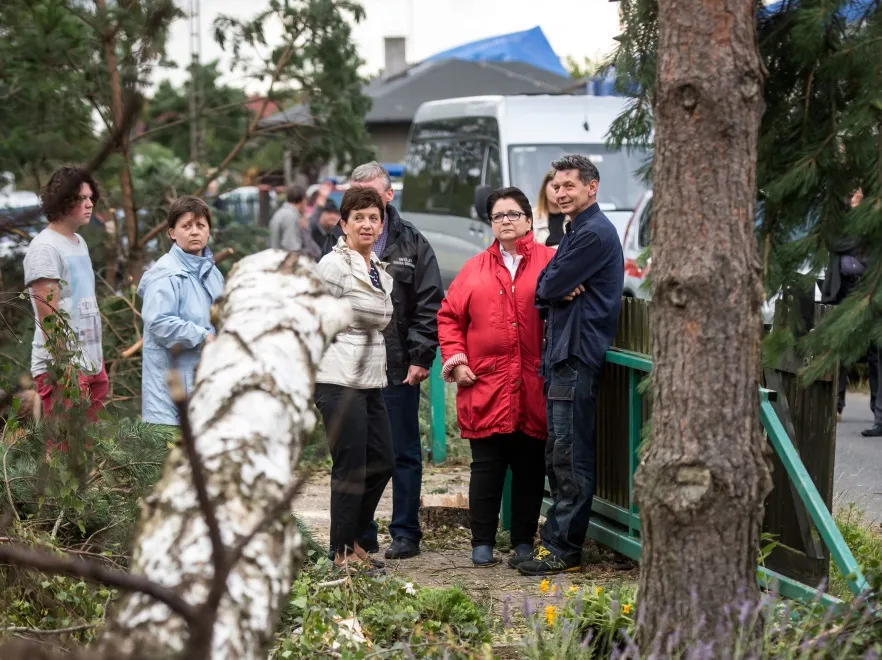7993631-teresa-piotrowska.jpg