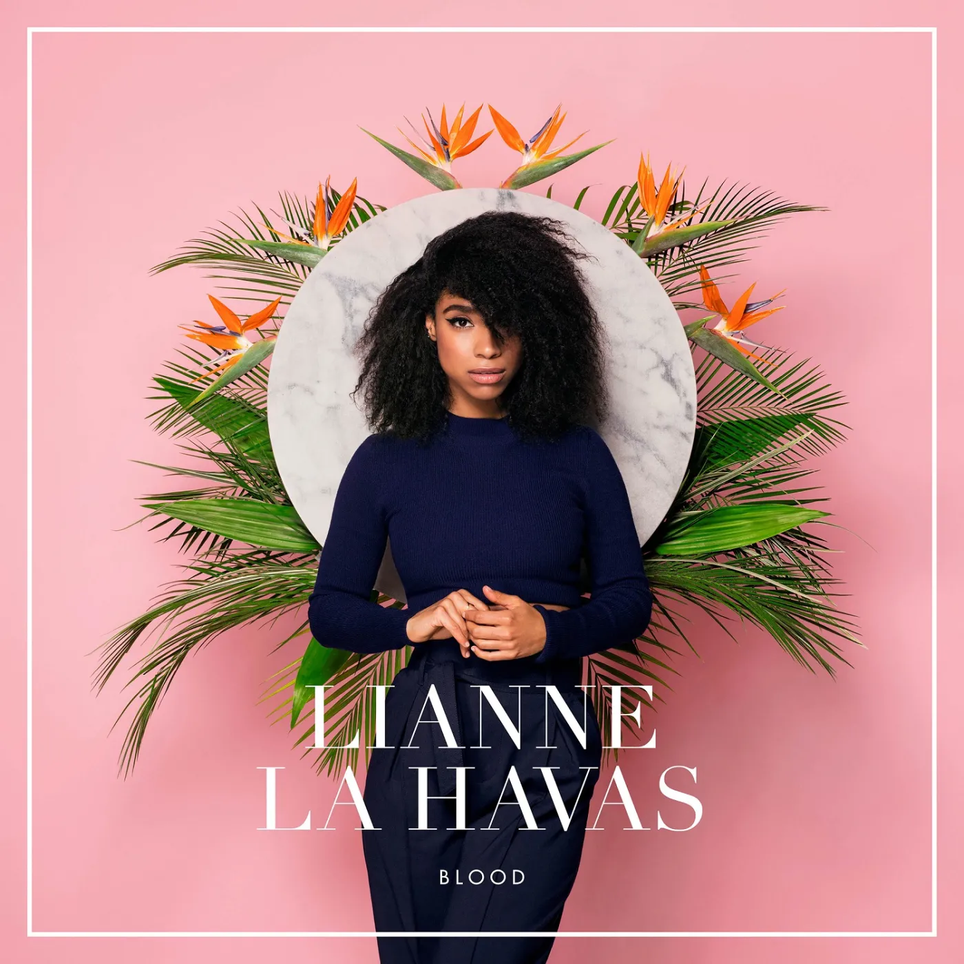 8036939-lianne-la-havas.jpg
