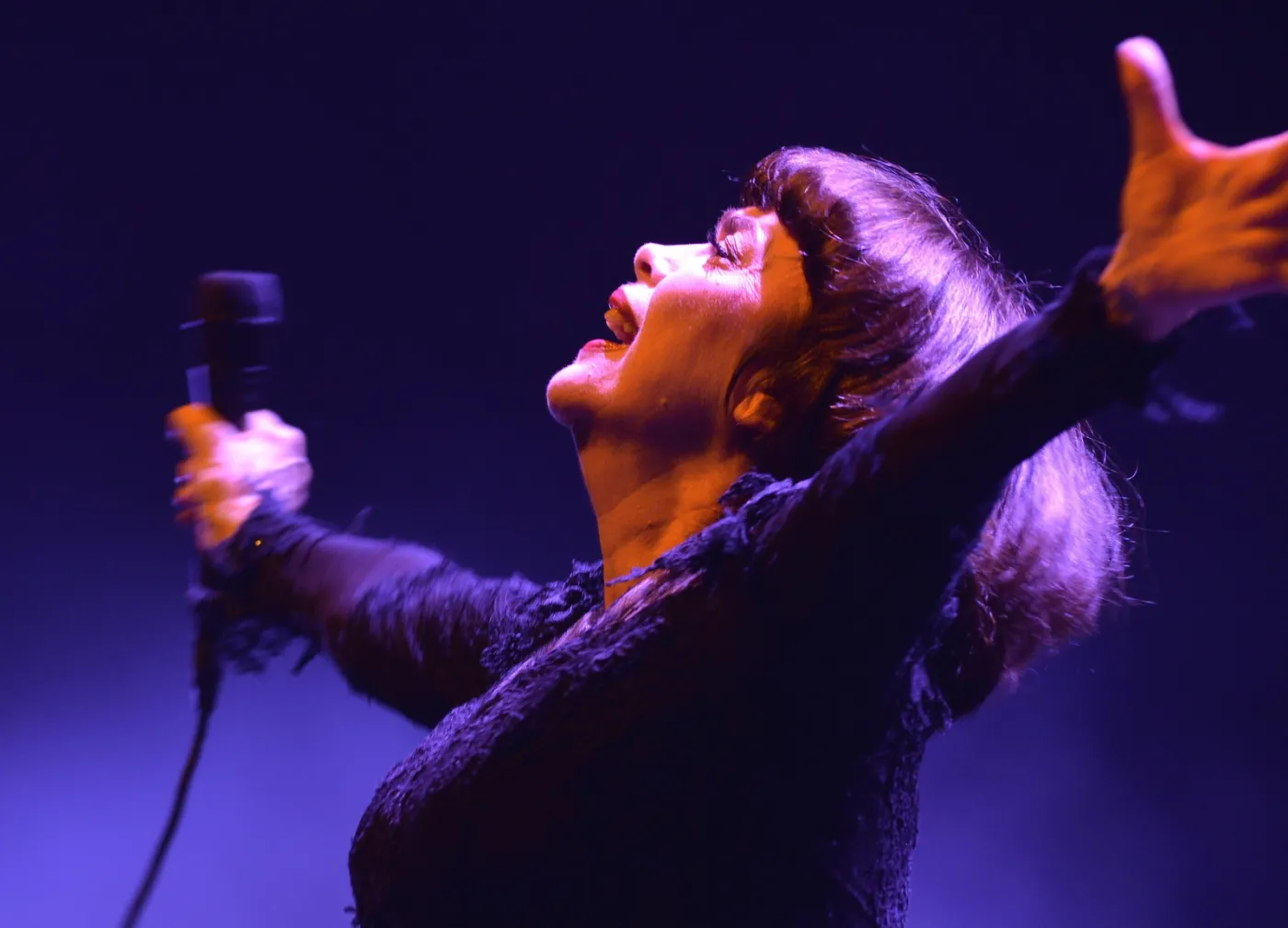 8036771-mireille-mathieu.jpg