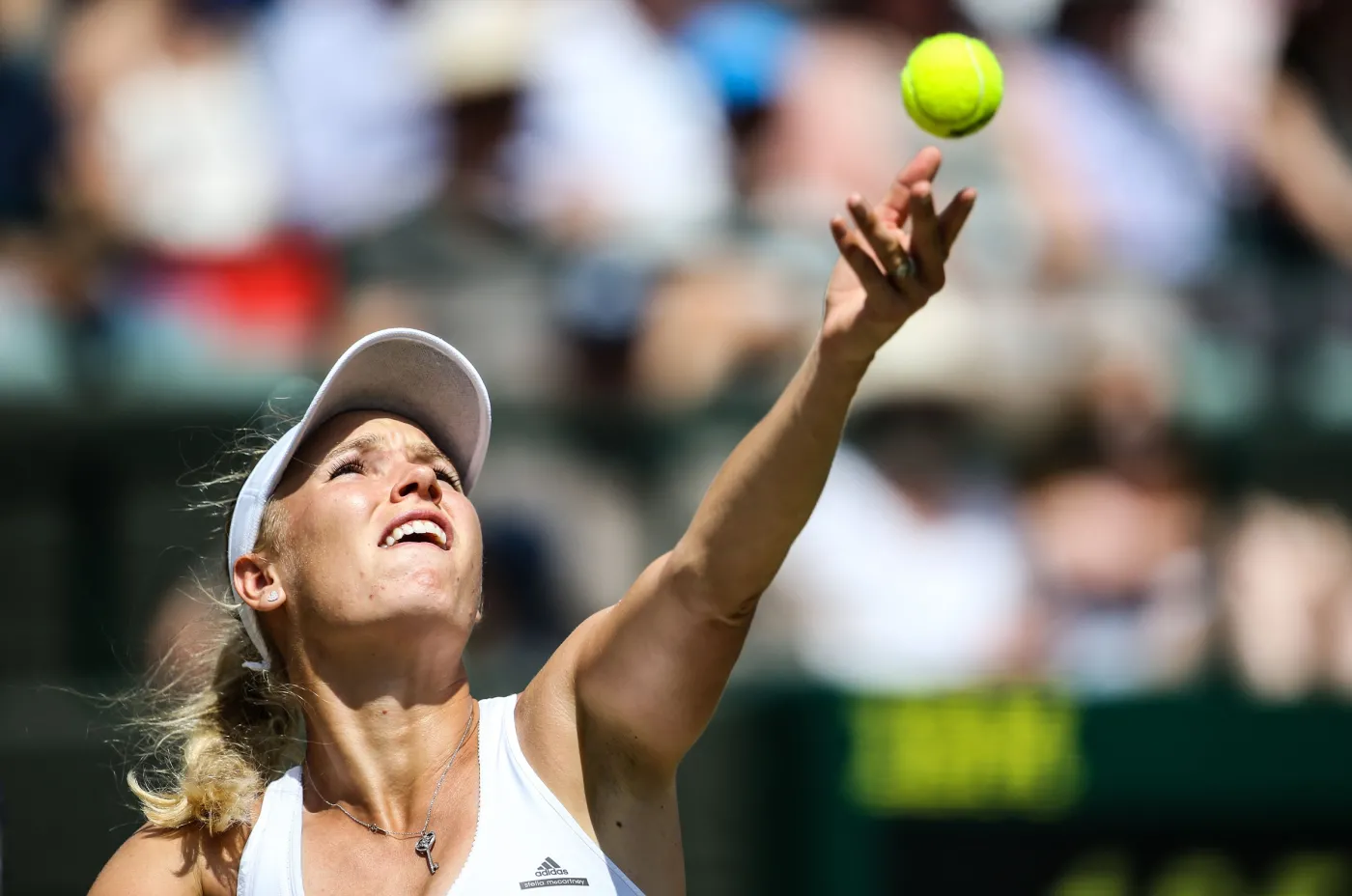 8085910-caroline-wozniacki.jpg