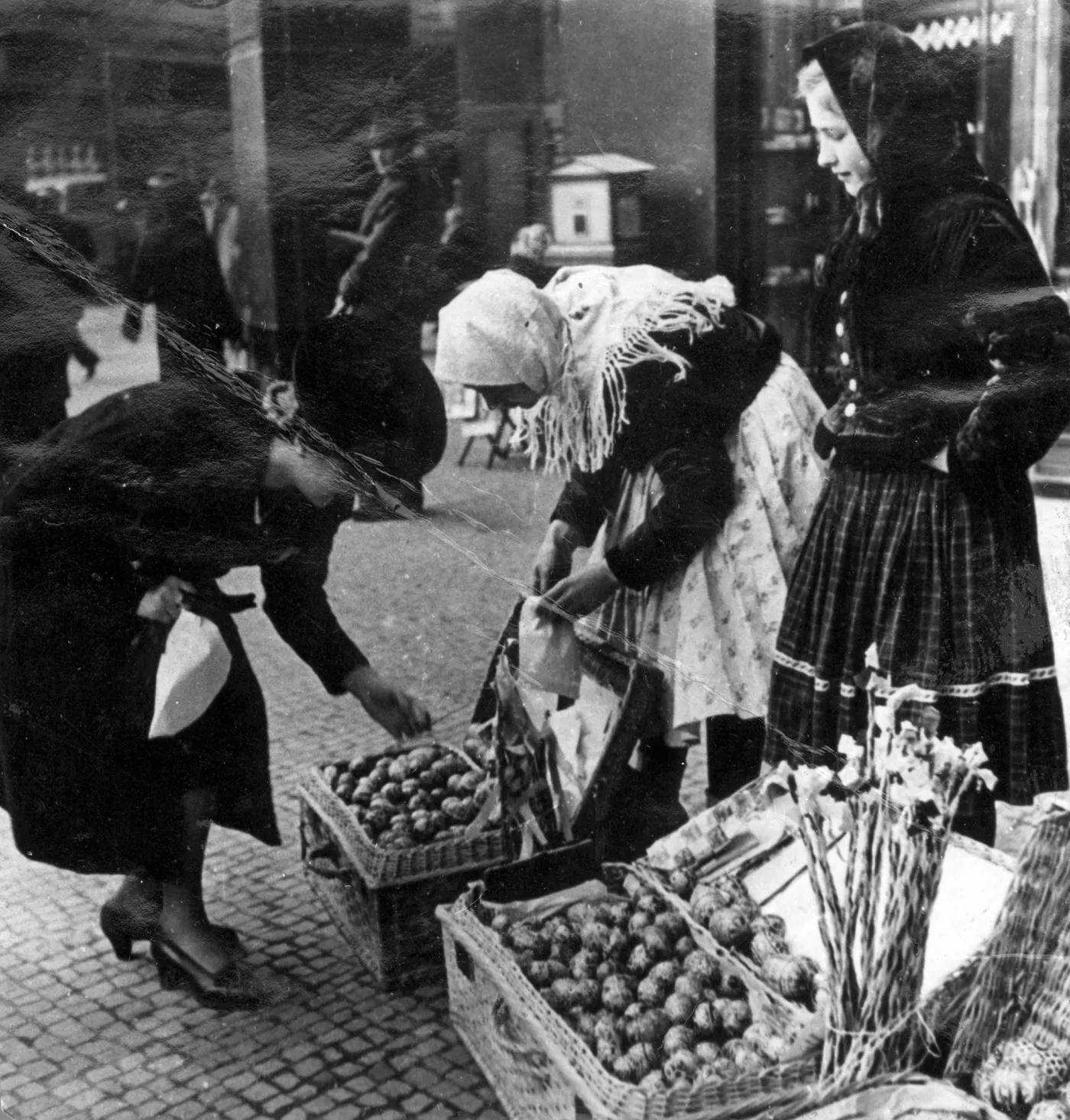 8138779-okupacja-od-kuchni.jpg