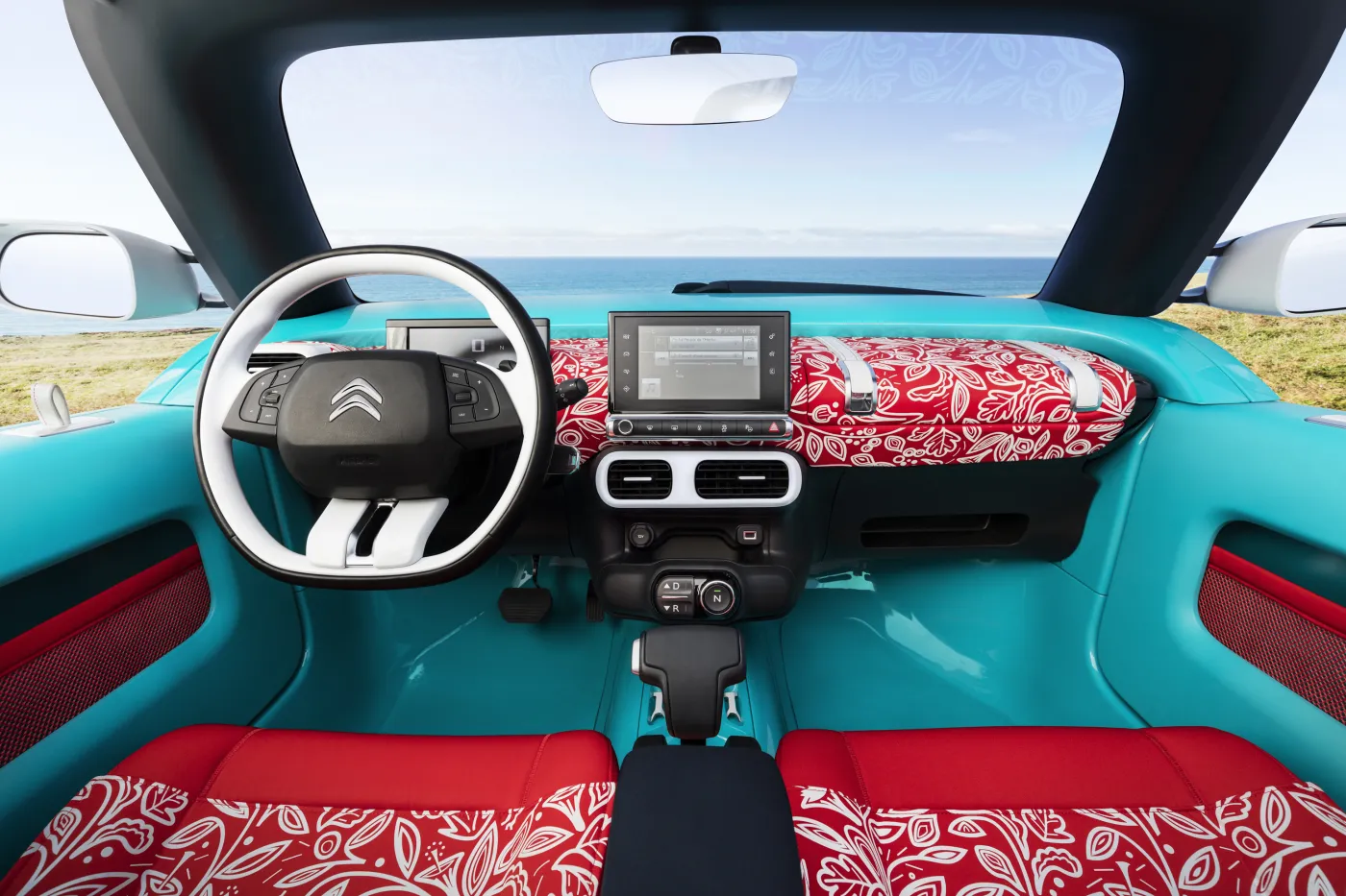 8166551-citroen-cactus-m.jpg