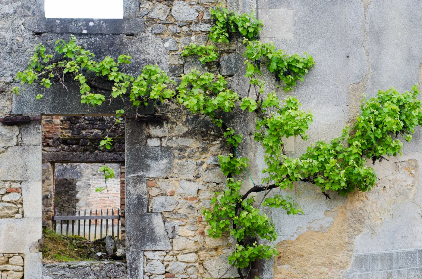 7868824-oradour-sur-glane.jpg