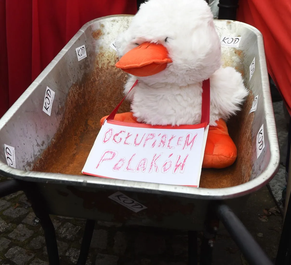 8561740-manifestacja-kod.jpg