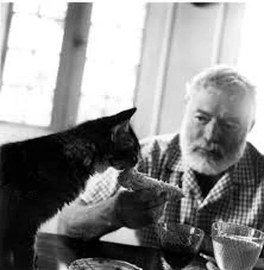8574234-ernest-hemingway.jpg