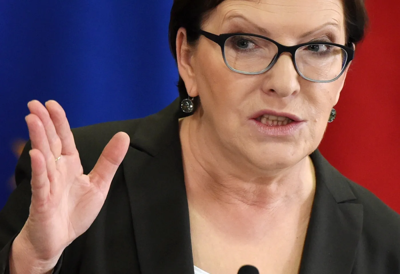 Premier Ewa Kopacz