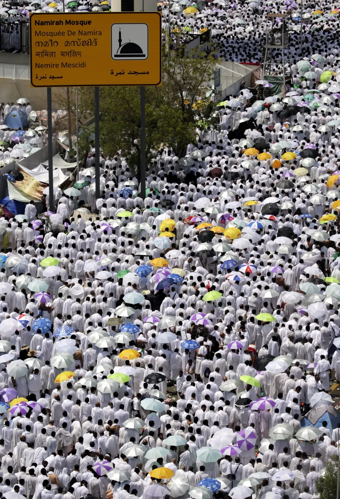 8247592-tragedia-pod-mekka.jpg