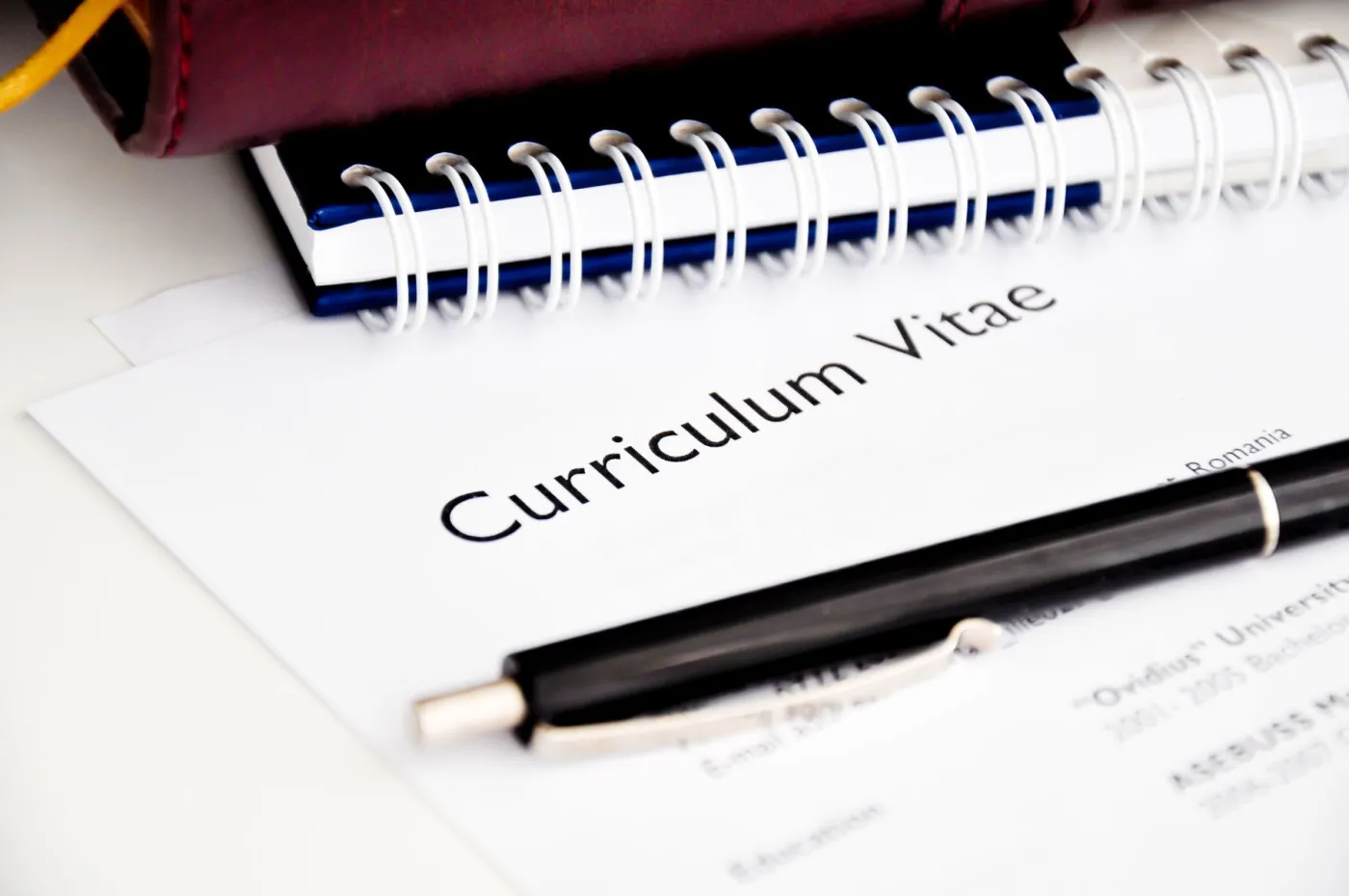 Curriculum Vitae 