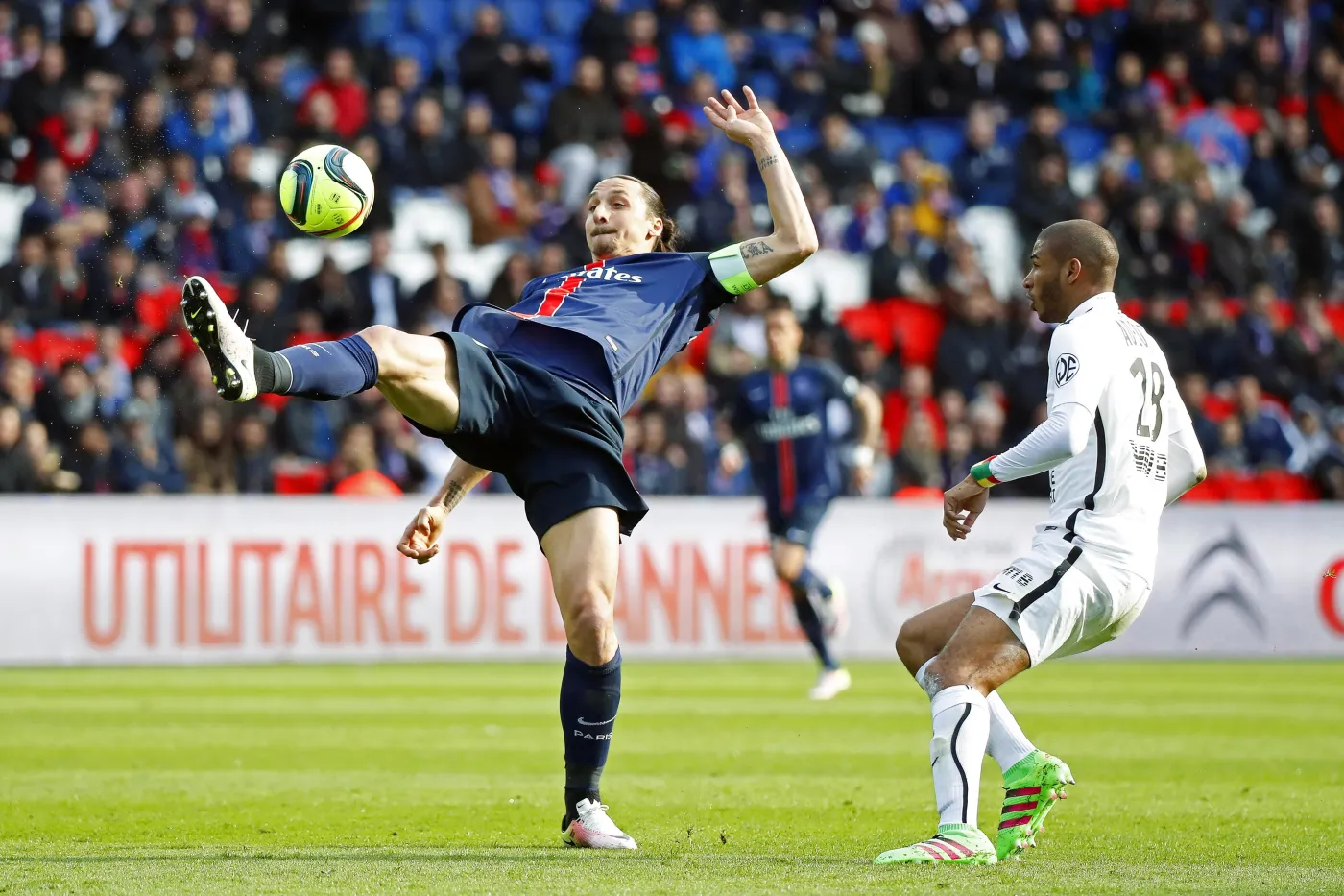 Zlatan Ibrahimović