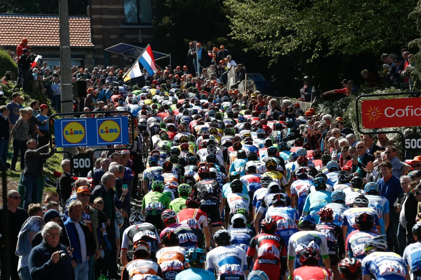 Kolarski peleton