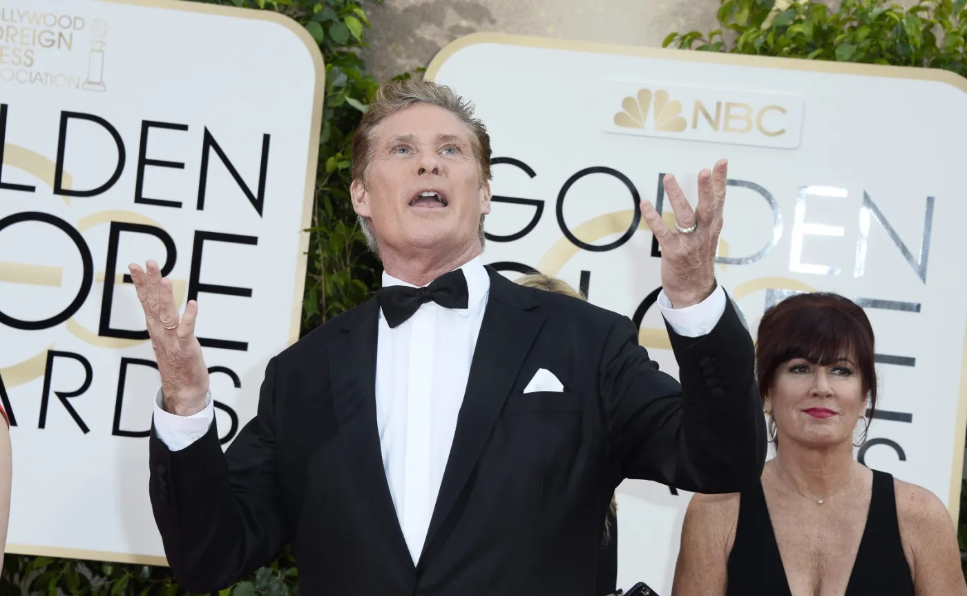 8625763-david-hasselhoff.jpg