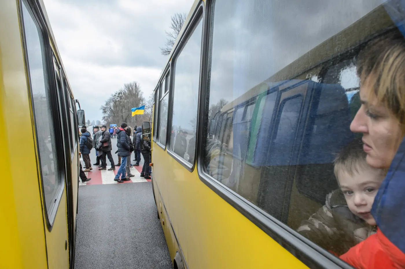 8627597-ukraina-smerekow.jpg