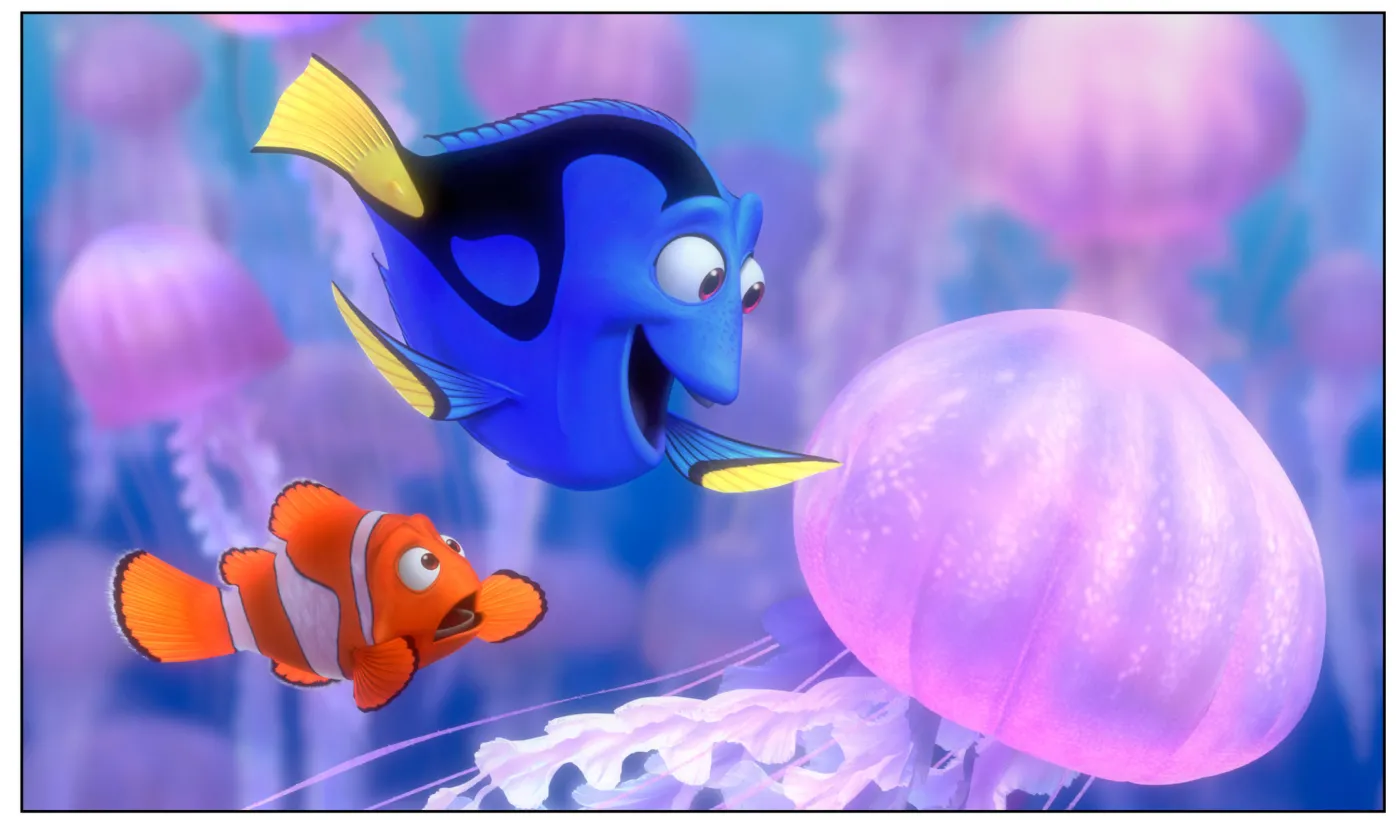 4940011-gdzie-jest-nemo.jpg