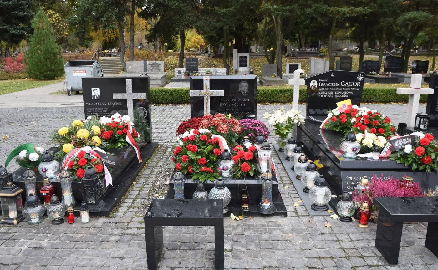 9575075-powazki-wojskowe.jpg