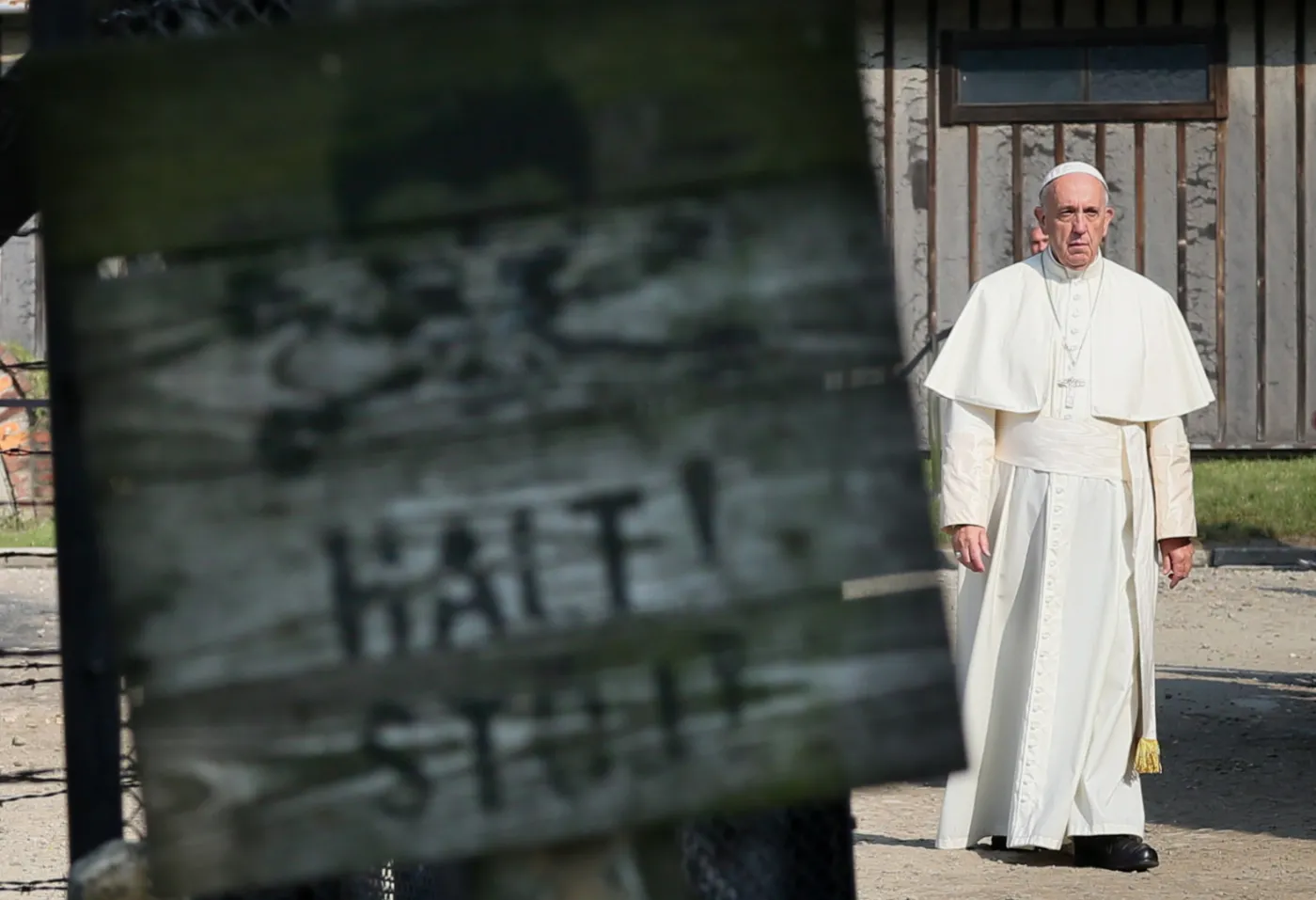 9737618-papiez-franciszek.jpg