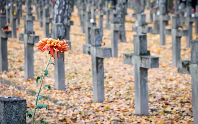 Kombatanci chcą dekomunizacji Alei Zasłużonych na warszawskich Powązkach