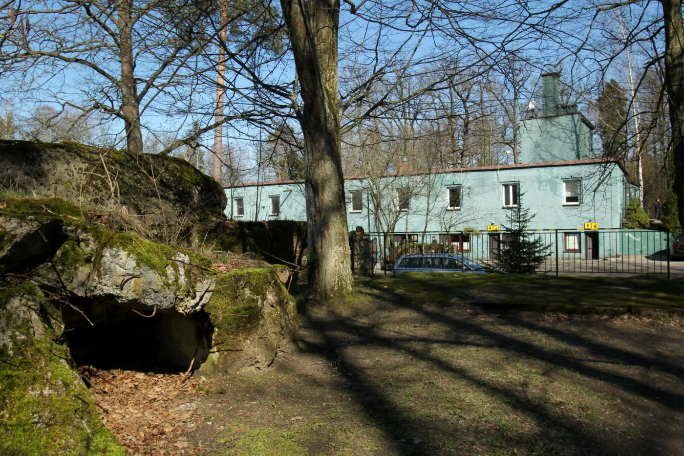 10034596-wielczy-szaniec-5.jpg