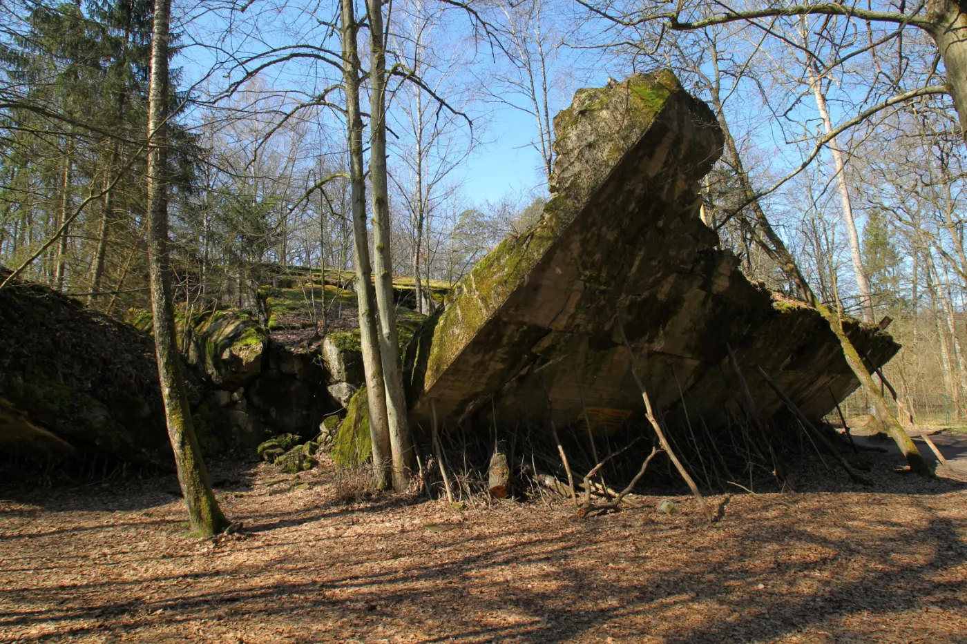 10036523-wilczy-szaniec.jpg