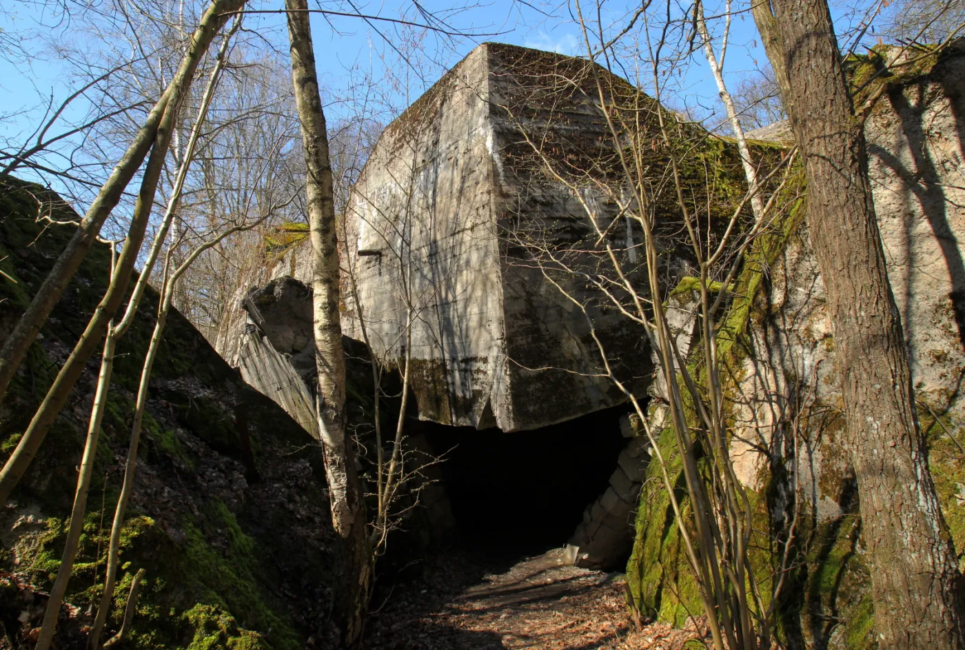 10036619-wilczy-szaniec.jpg