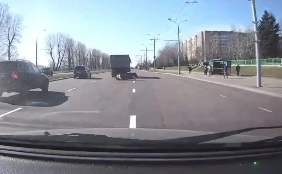 Krowa na drodze