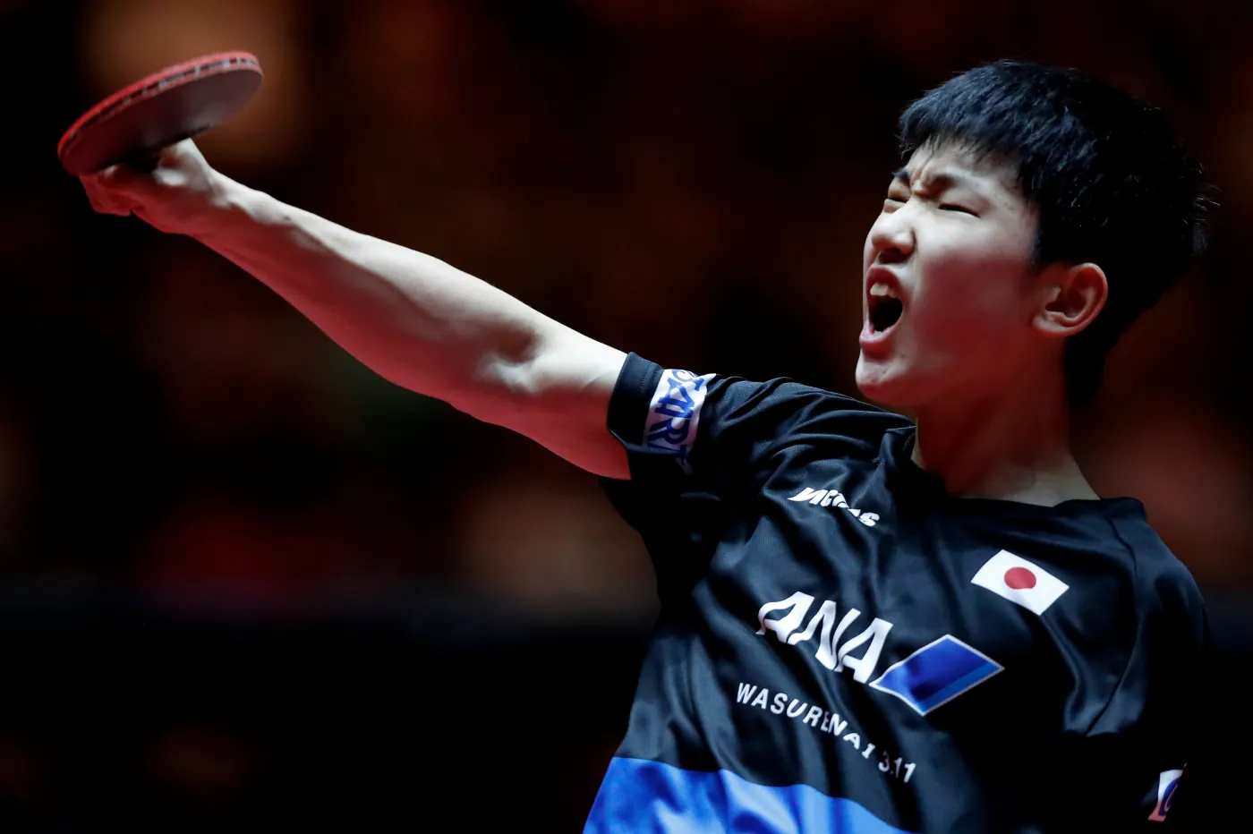 10206676-tomokazu-harimoto.jpg