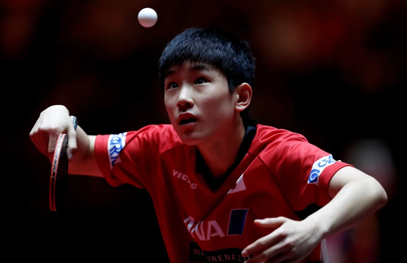 10206898-tomokazu-harimoto.jpg