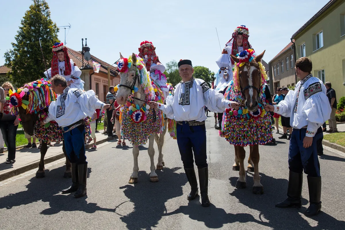 11053696-jazda-krolow-fot.jpg