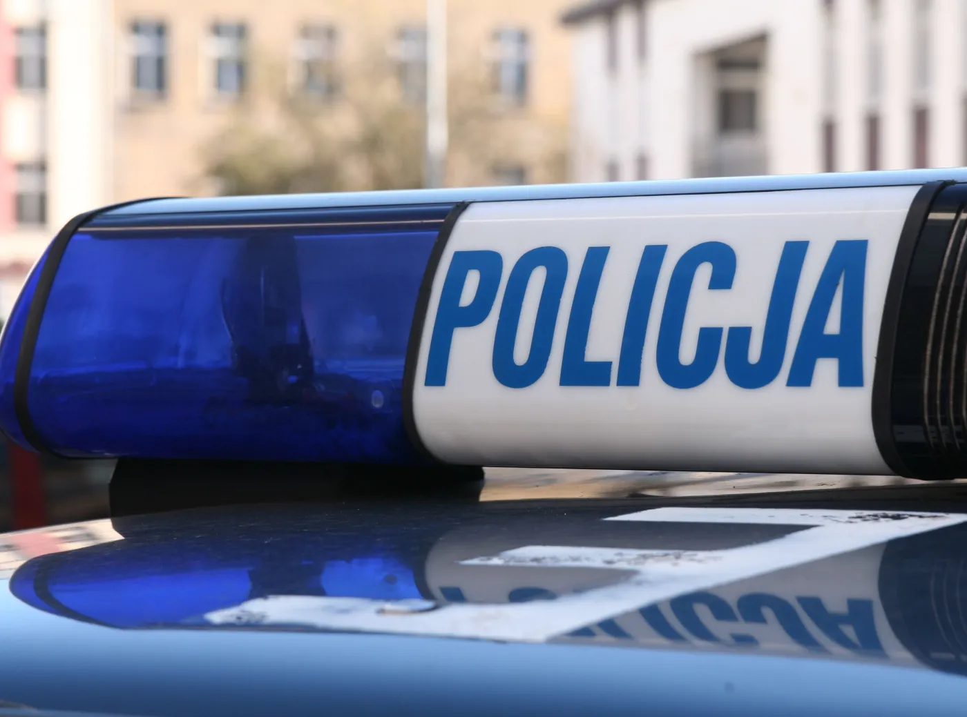 Wcześniej protest z koniem, teraz atak siekierą na Wawelu. Nowe fakty 