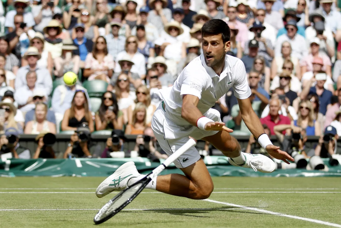 Novak Djokovic