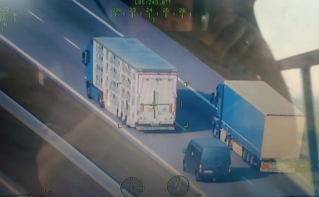 Niespodziewana akcja policji, kierowcy w szoku. 76 mandatów w kilka godzin