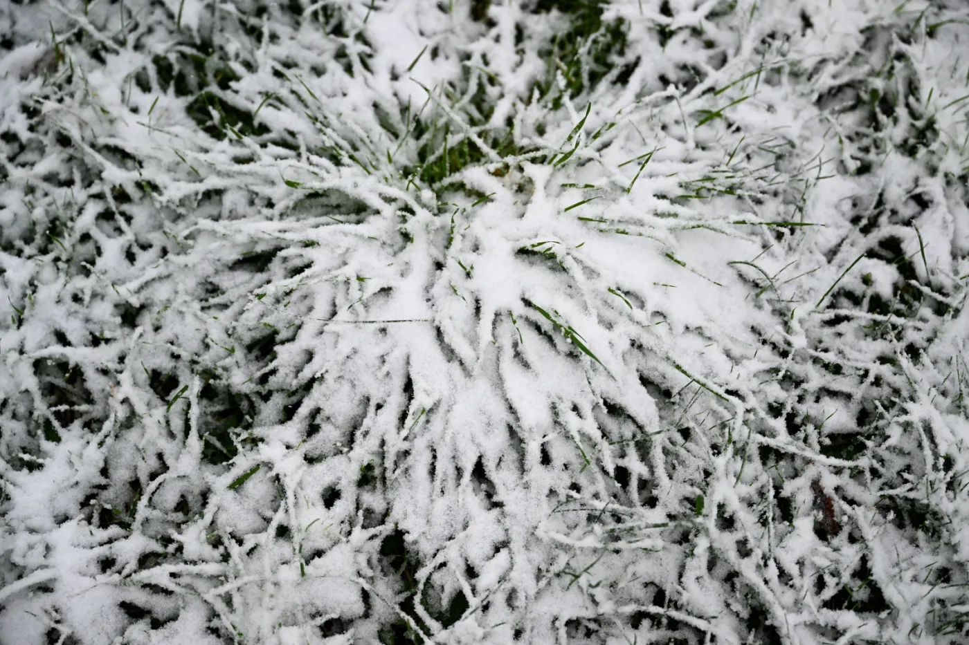 Do Polski dociera arktyczne powietrze. W Przemyślu pierwszy śnieg [ZDJĘCIA]