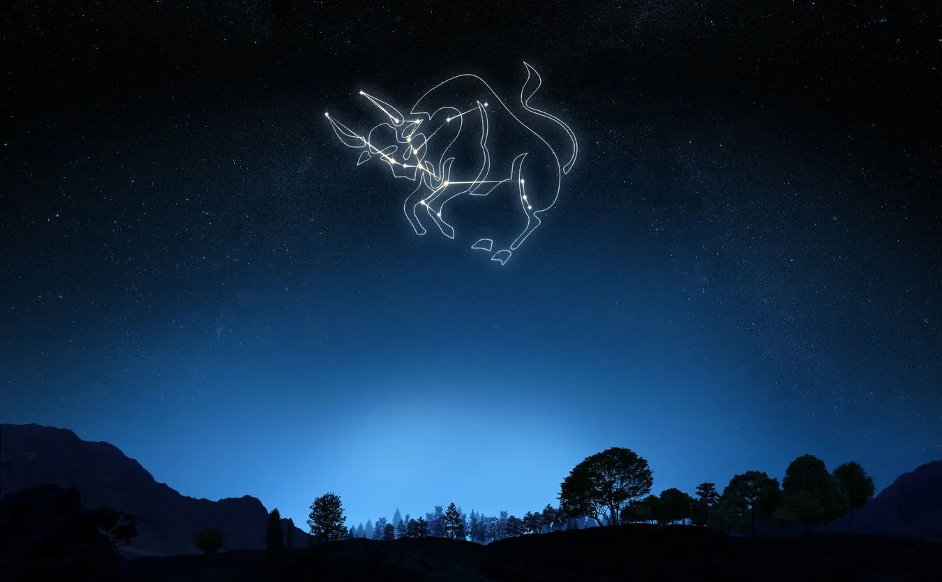 zodiakalne byki