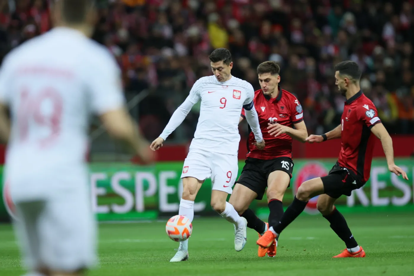 polska-albania-37752610.jpg