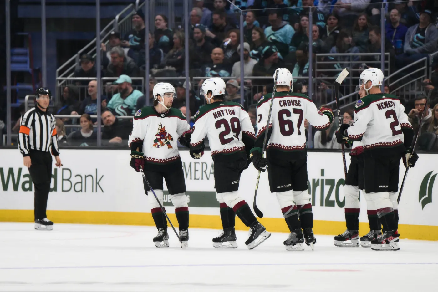 Arizona Coyotes