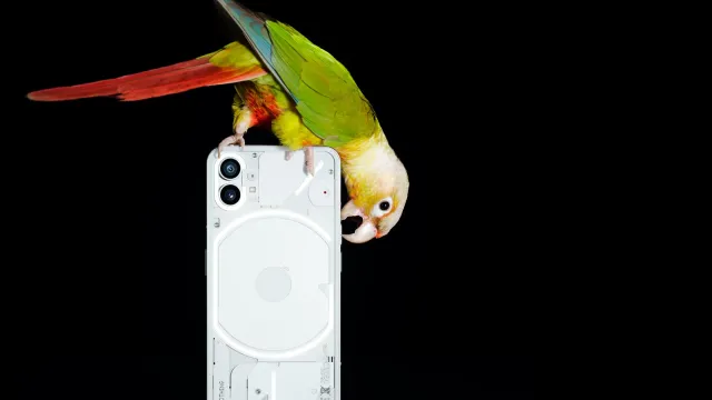 Szybko poszło. Nothing Phone (2) nie będzie tani