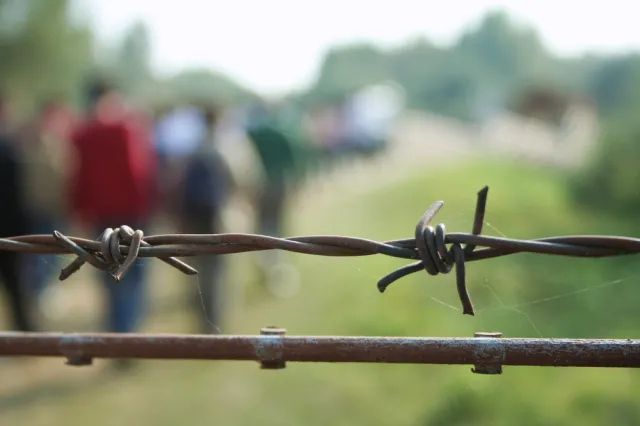 Wzrost liczby migrantów wyłącznie w kampanii strachu PiS? NOWY SONDAŻ DGP i RMF FM