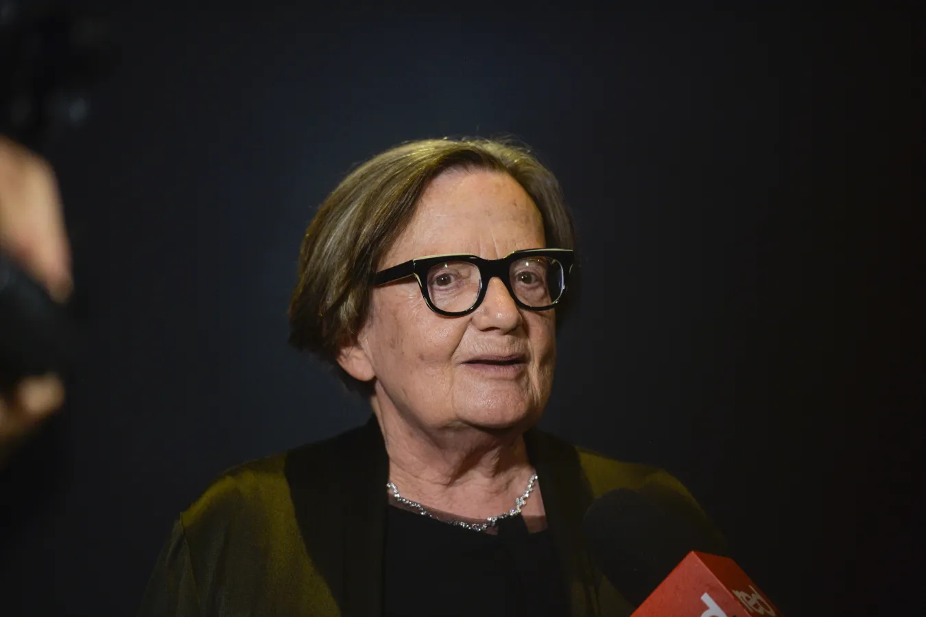 Agnieszka Holland