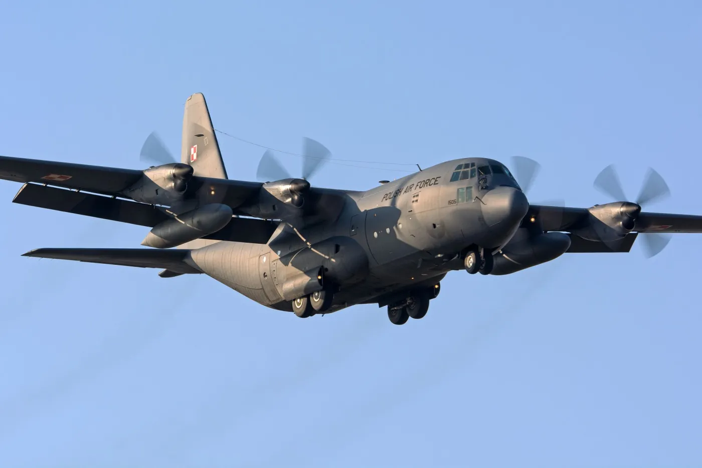 Polski hercules