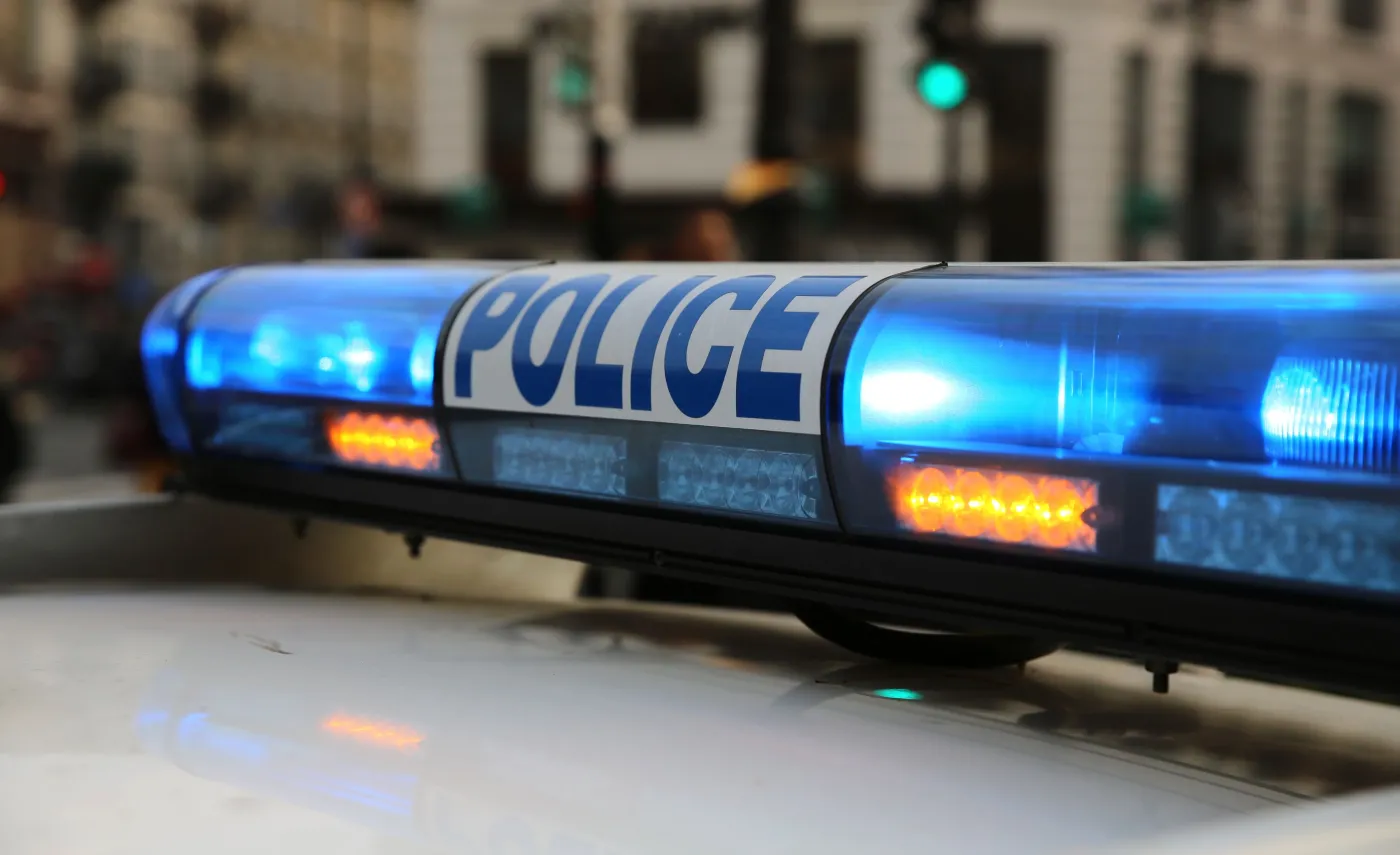 Francuska policja