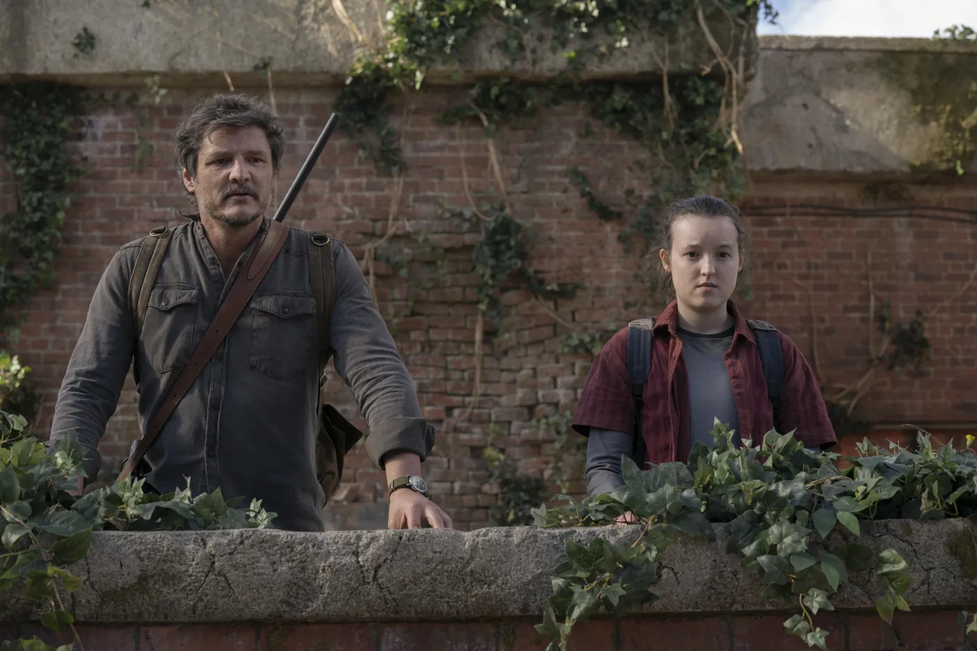 "The Last of Us"