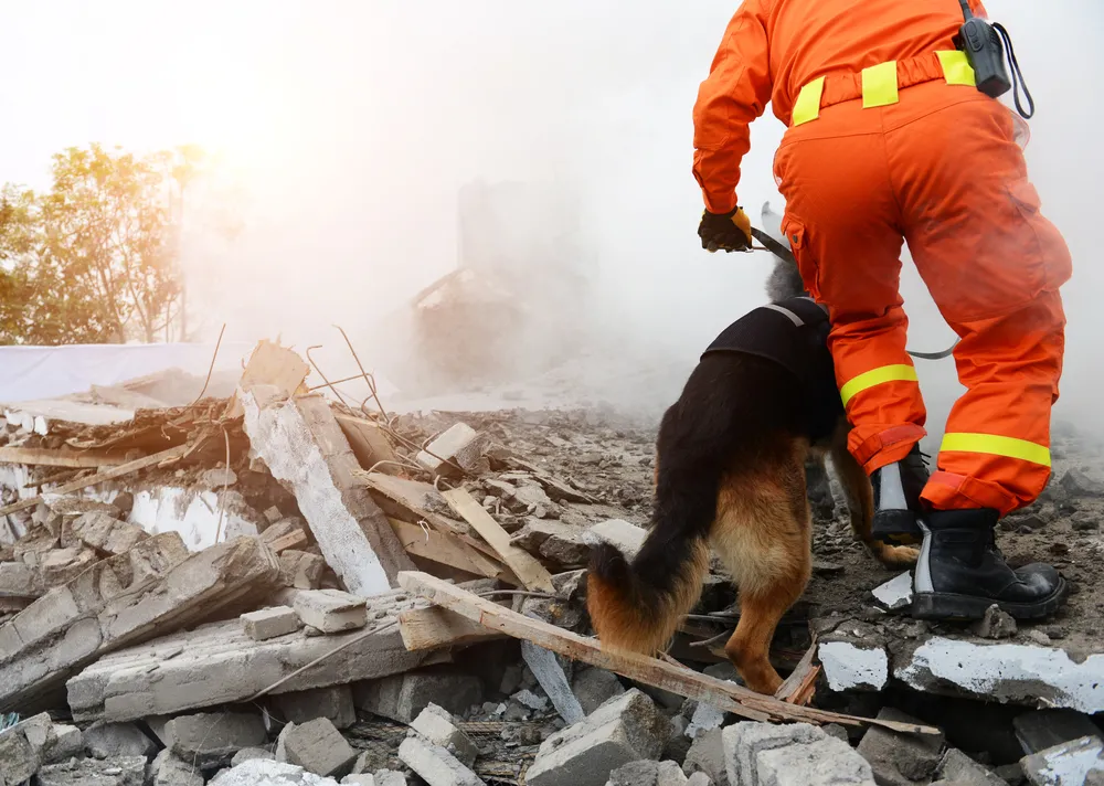 Osunęła się ziemia, trwa akcja ratownicza. Poszukiwanych 47 osób