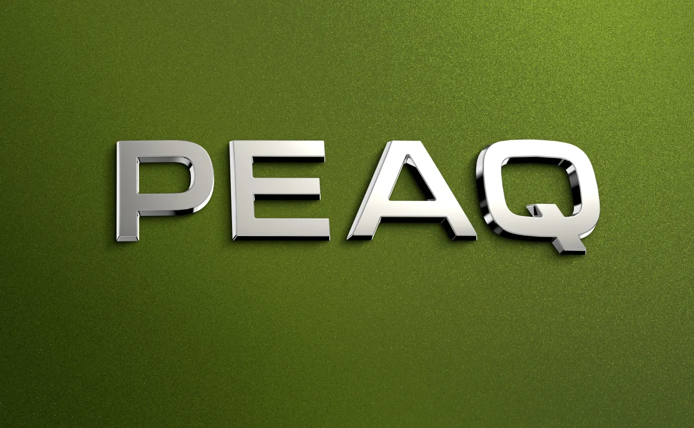 Nowa Skoda Peaq