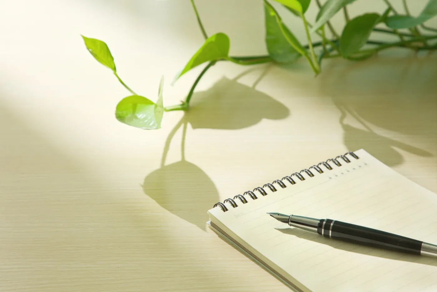 Close-up,Of,A,Notebook,,A,Blue,Pen,,And,Green,Plants