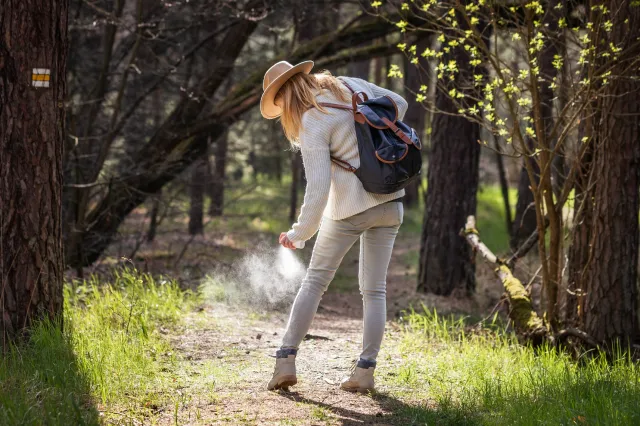 Naturalny sposób na komary. Włóż tę roślinę do kieszeni, a owady będą cię omijać