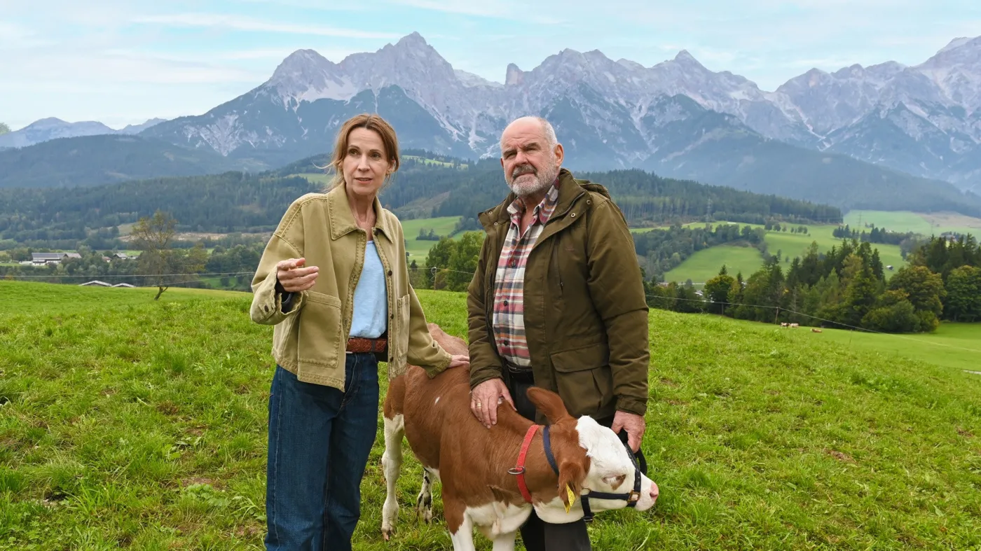 "Doktor Maiwald"