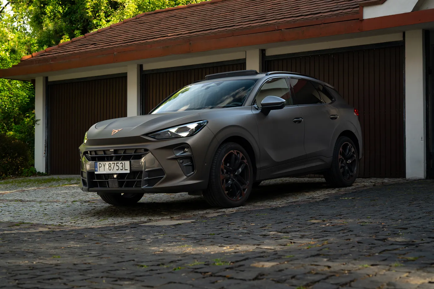 Cupra Terramar