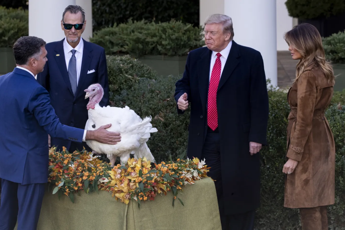 Tradycji stało się zadość. Donald Trump ułaskawił dwa indyki