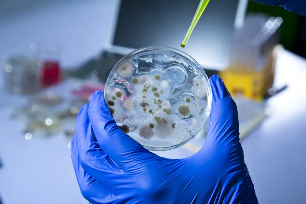 Antybiotykoodporność może zabić w 2050 roku 10 milionów osób
