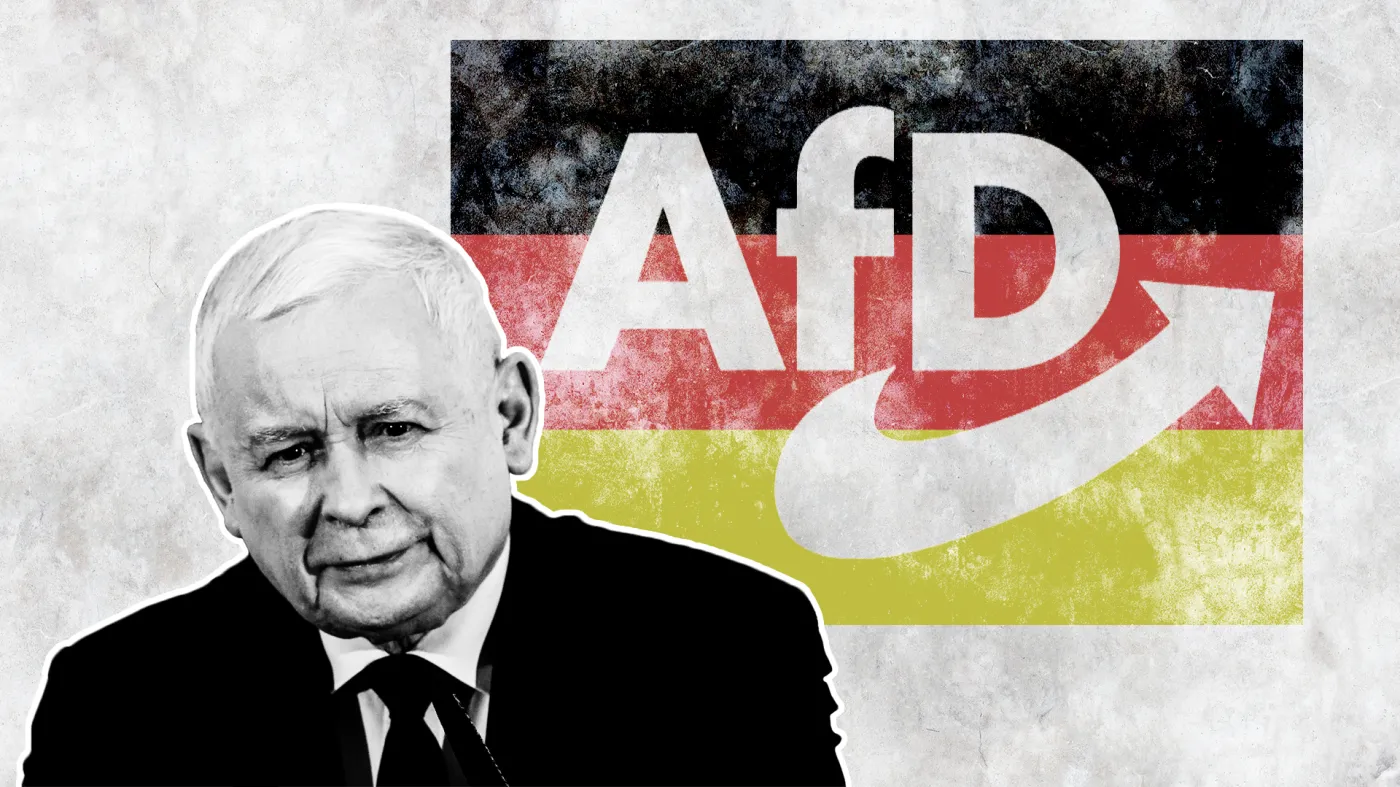 Kaczyński - AfD - Niemcy